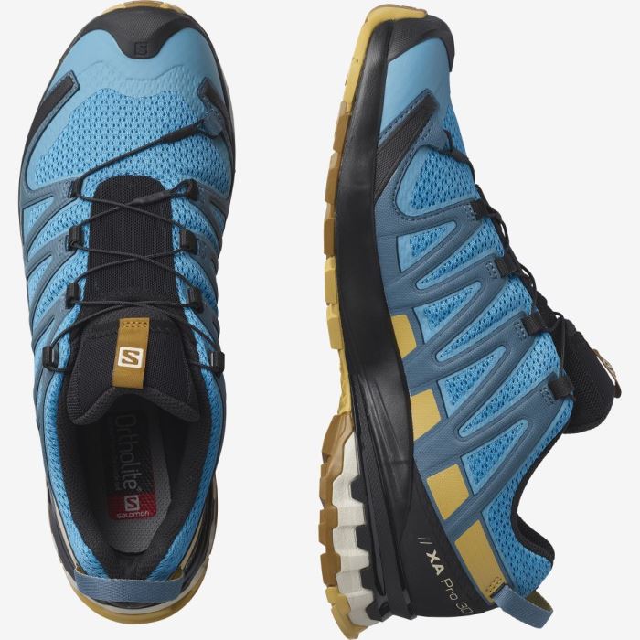 Salomon XA PRO 3D v8 Trail Løbesko Herre Brune | rXRqpte0