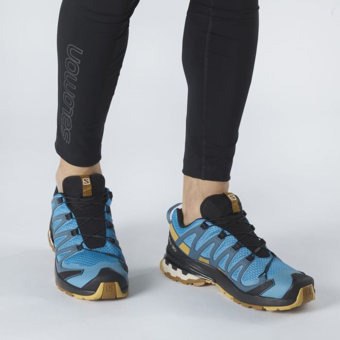 Salomon XA PRO 3D v8 Trail Løbesko Herre Brune | rXRqpte0