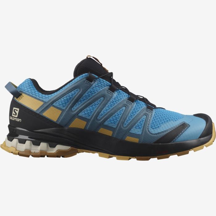 Salomon XA PRO 3D v8 Trail Løbesko Herre Brune | rXRqpte0