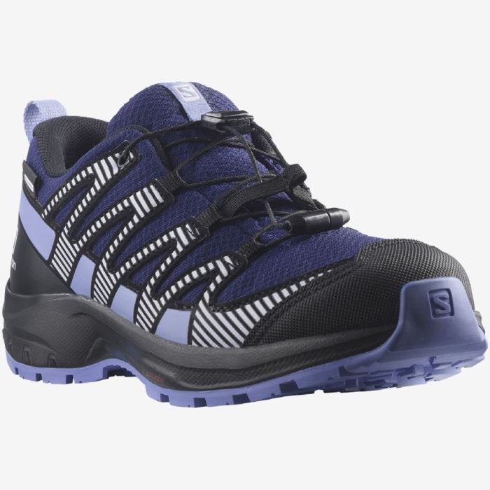 Salomon XA PRO V8 CLIMASALOMON™ WATERPROOF Vandresko Børn Sort Lilla | 2KK9gbfH