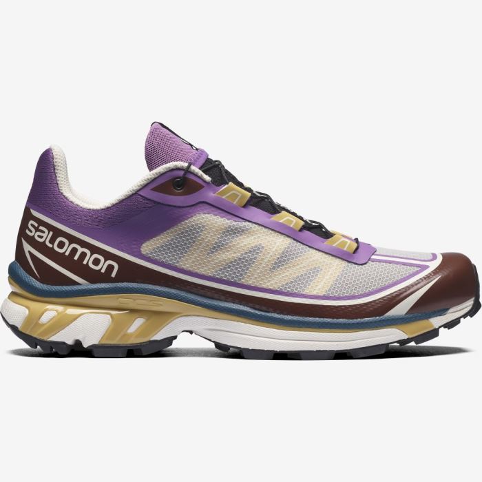 Salomon XT-6 FT Sneakers Dame Kongeblå Chokolade | pPGVQWYd