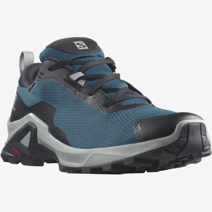 Salomon X REVEAL 2 GORE-TEX Vandresko Herre Blå Sort | vHnYOCna