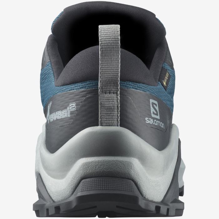 Salomon X REVEAL 2 GORE-TEX Vandresko Herre Blå Sort | vHnYOCna