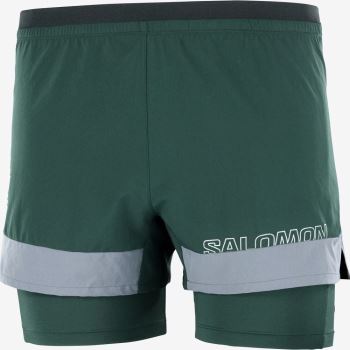 Salomon CROSS 2IN1 Shorts Herre Dyb Grøn | wghDqrSa