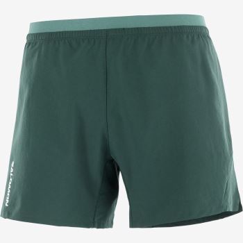 Salomon CROSS 5'' Shorts Herre Dyb Grøn | 5pEd8Icy