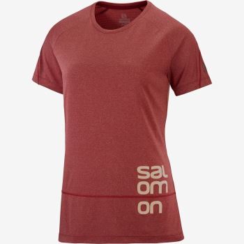 Salomon CROSS RUN GRAPHIC T Shirts Dame Mørkerød | 6O752xFu