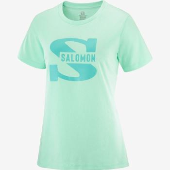 Salomon OUTLIFE BIG LOGO T Shirts Dame Beach Glass | 2LdwrpmX