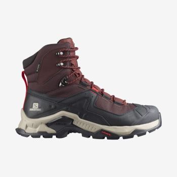 Salomon QUEST ELEMENT GORE-TEX Vandresko Herre Chokolade Lilla Brune | RgLY7zM2