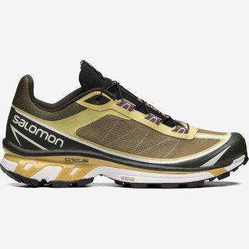 Salomon XT-6 FT Sneakers Dame Grøn | yzGBMCKN