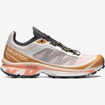 Salomon XT-6 FT Sneakers Dame Sort | jE82J9uD